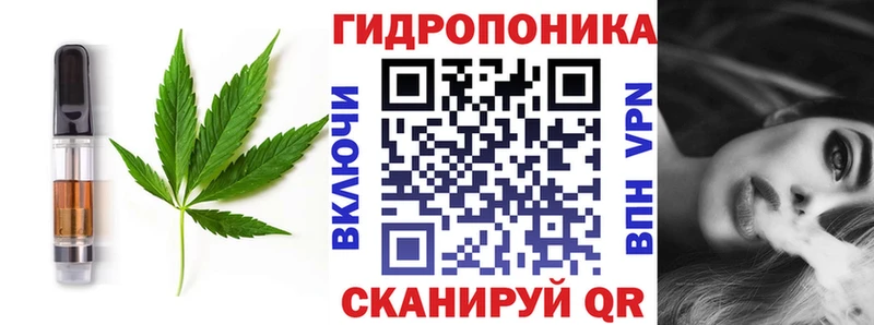 Cannafood конопля  Кочубеевское 