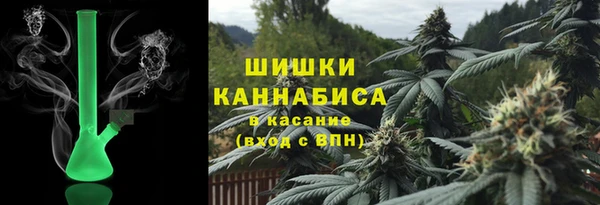 шишки Арсеньев