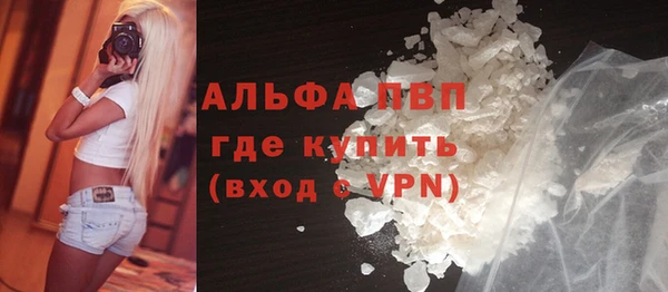 шишки Арсеньев