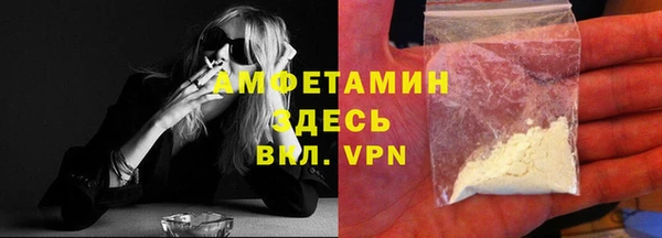 шишки Арсеньев