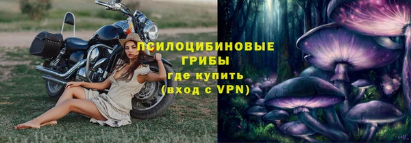 apvp Аркадак