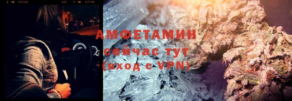 шишки Арсеньев