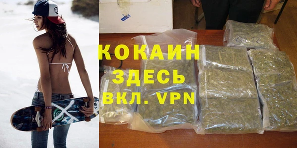 шишки Арсеньев